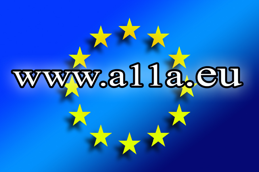 domena internetowa www.a11a.eu